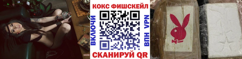 где продают   Курган  КОКАИН FishScale 