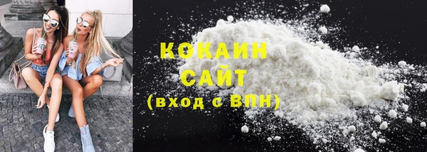 прущий лед Алзамай